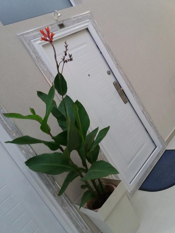 Atina Lux Hostel レスコヴァツ エクステリア 写真